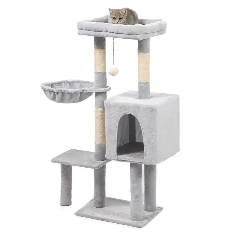 CT-023-gatto CT-023-gatto