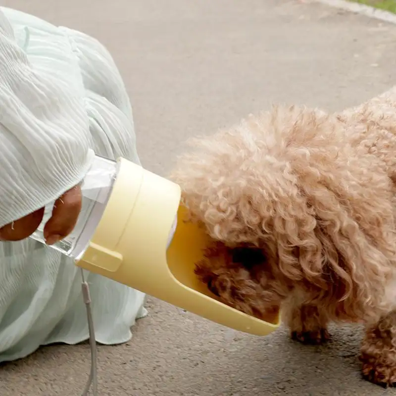 JCHAHG1-1-cane JCHAHG1-1-cane